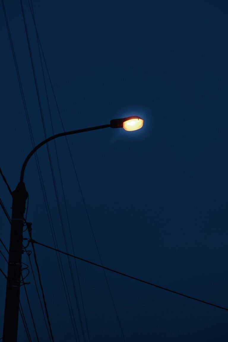 luz